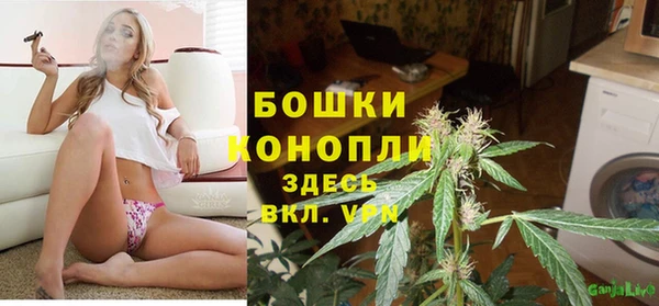 меф Арсеньев
