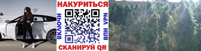 где купить наркоту  Курган  МАРИХУАНА планчик 